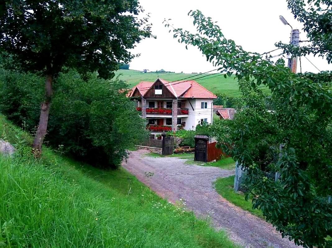Pensiunea Bordás Panzió Sfântu-Gheorghe Esterno foto