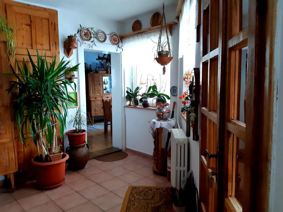 Pensiunea Bordás Panzió Sfântu-Gheorghe Esterno foto