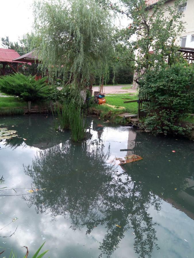 Pensiunea Bordás Panzió Sfântu-Gheorghe Esterno foto